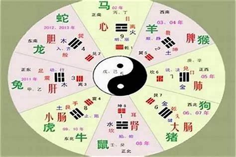 旭五行|旭的五行属什么？？怎么算的？？